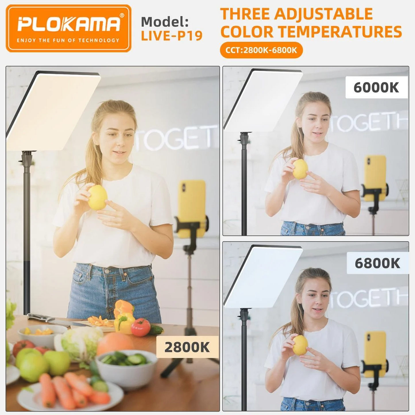 Plokama Live-P19 LED Fill Light Panel